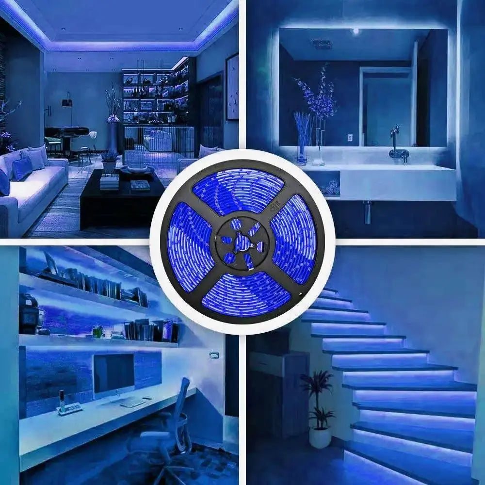 5M Only Led Strip 3528/5050 DC12V 60LEDs/m Flexible LED Light RGB White/ Warm White/ Red/ Greed/ Blue/ Yellow For Room Deco
