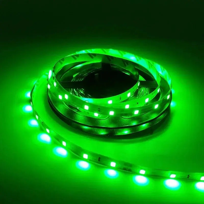 5M Only Led Strip 3528/5050 DC12V 60LEDs/m Flexible LED Light RGB White/ Warm White/ Red/ Greed/ Blue/ Yellow For Room Deco Green 5M-Only Strip TwinTilt Steel Pet Feeder
