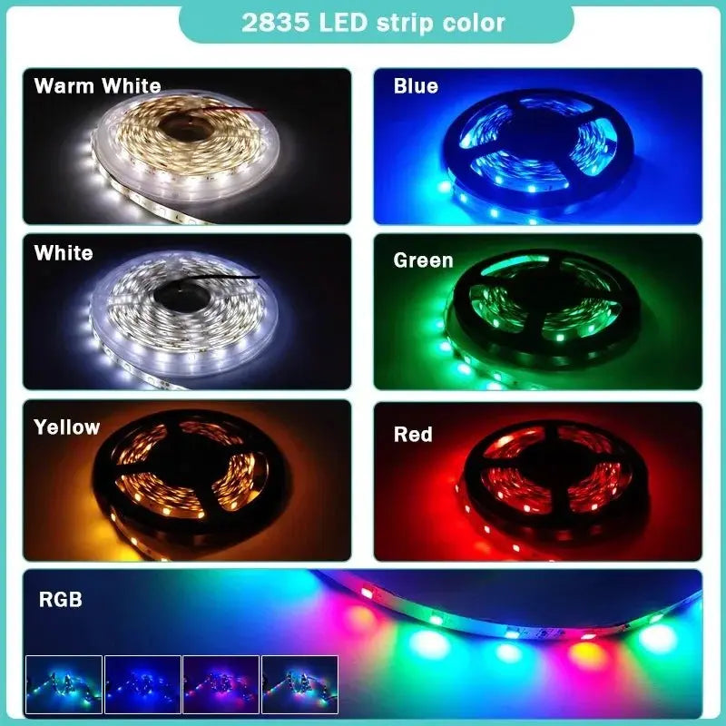5M Only Led Strip 3528/5050 DC12V 60LEDs/m Flexible LED Light RGB White/ Warm White/ Red/ Greed/ Blue/ Yellow For Room Deco Blue 5M-Only Strip TwinTilt Steel Pet Feeder