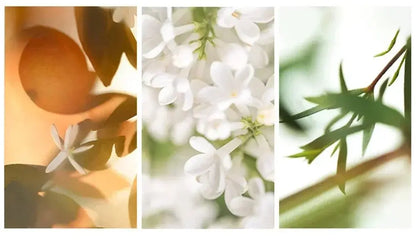 High Quality 90ml Men Perfume Hombre Gift Box 3pcs Set Colognes Scent Fascination Man Perfumes Masculinos Lasting Parfum Heren TwinTilt Steel Pet Feeder