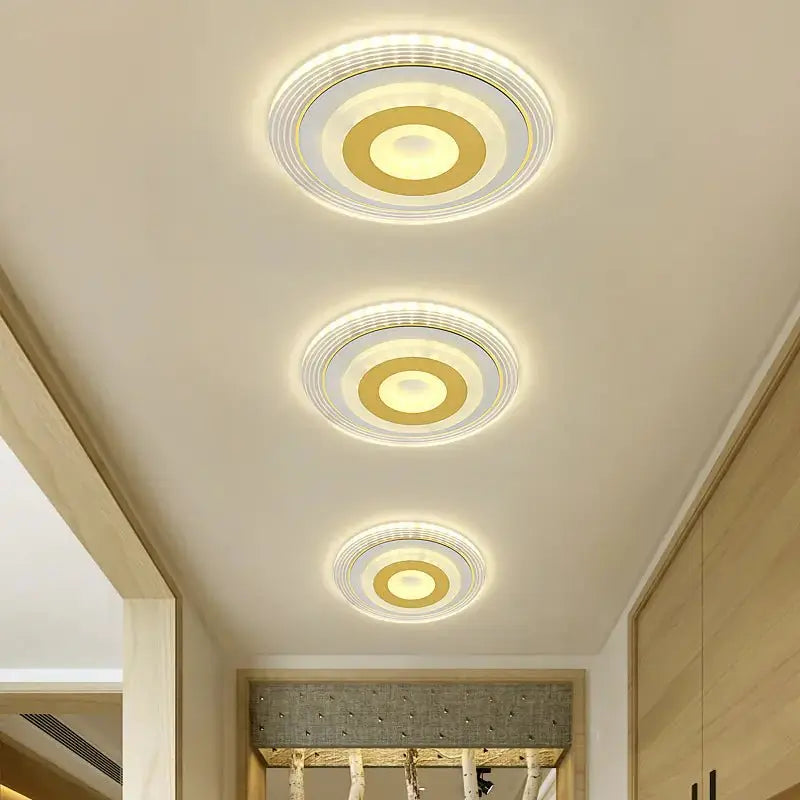 Modern Minimalist Corridor Ceiling Spotlight Light TwinTilt Steel Pet Feeder