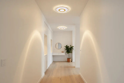 Modern Minimalist Corridor Ceiling Spotlight Light TwinTilt Steel Pet Feeder