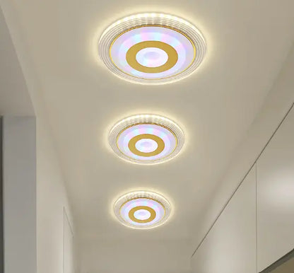 Modern Minimalist Corridor Ceiling Spotlight Light TwinTilt Steel Pet Feeder