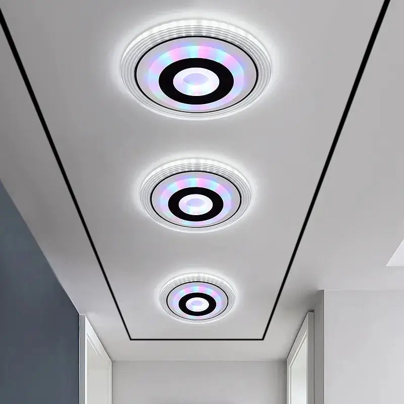 Modern Minimalist Corridor Ceiling Spotlight Light TwinTilt Steel Pet Feeder