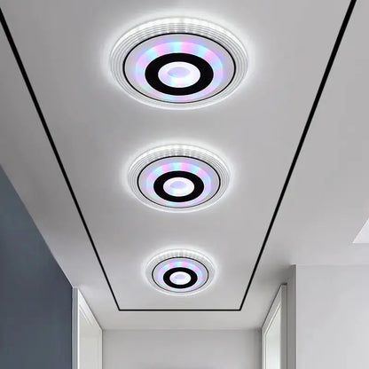 Modern Minimalist Corridor Ceiling Spotlight Light TwinTilt Steel Pet Feeder