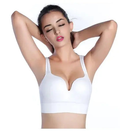 SF Glory Active Bra BRANCO L TwinTilt Steel Pet Feeder