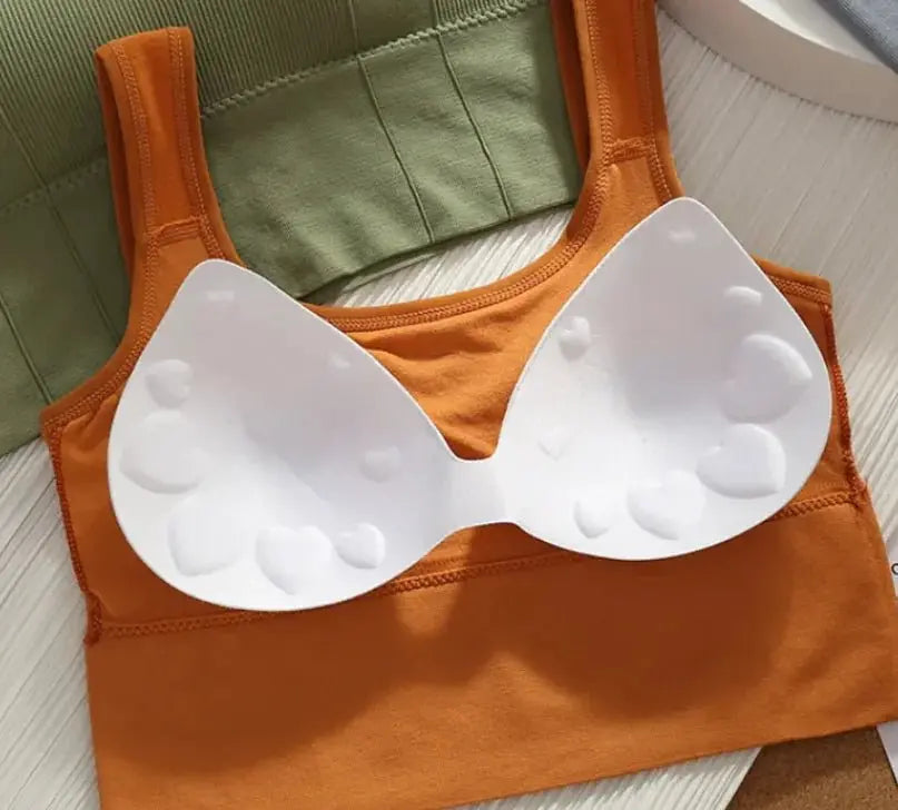 Yoga Base Bra Khaki Free Size TwinTilt Steel Pet Feeder